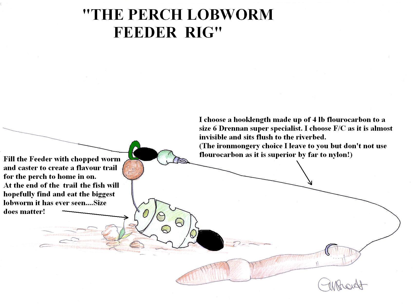 Perch fishing on the Great Ouse » Lee Swords Fishing - Lee Swords Fishing 