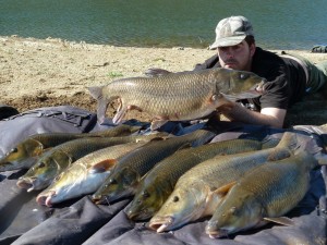 Comizo barbel extremadura