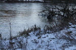 A nicelower middle left bank Trent snag swim