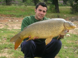 carp