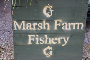 Marsh Farm Fishery