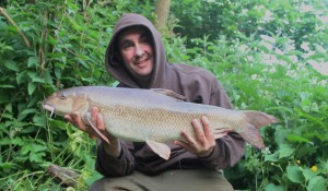 Barbel 13lb