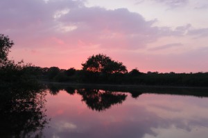 Find a bit of solitude and find the fish