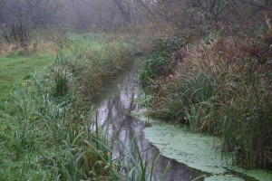 Upper Kennet