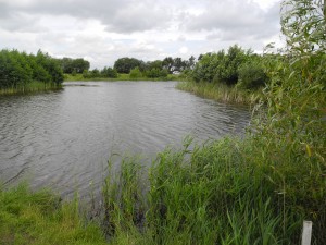 Specimen Lake