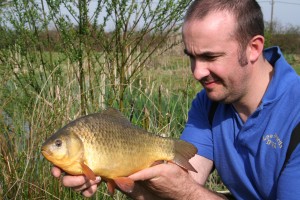 Not big enough to be a proper Crucian carp