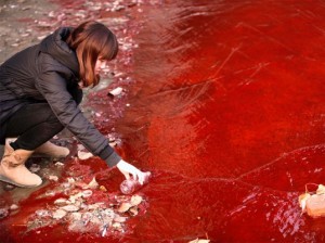 water-pollution-china-3-537x4021