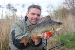 Perch of 2lb 11oz