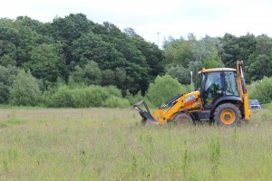 The end of the meadow will be soon