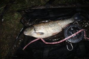 7lb 4oz chub...Big beast!