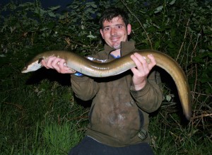 A big eel indeed!