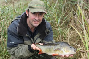 2lb 12oz Perch from Alderfen