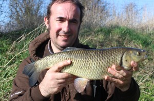 4lb chub