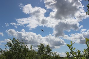 Avro Vulcan over Alderfen fisheries