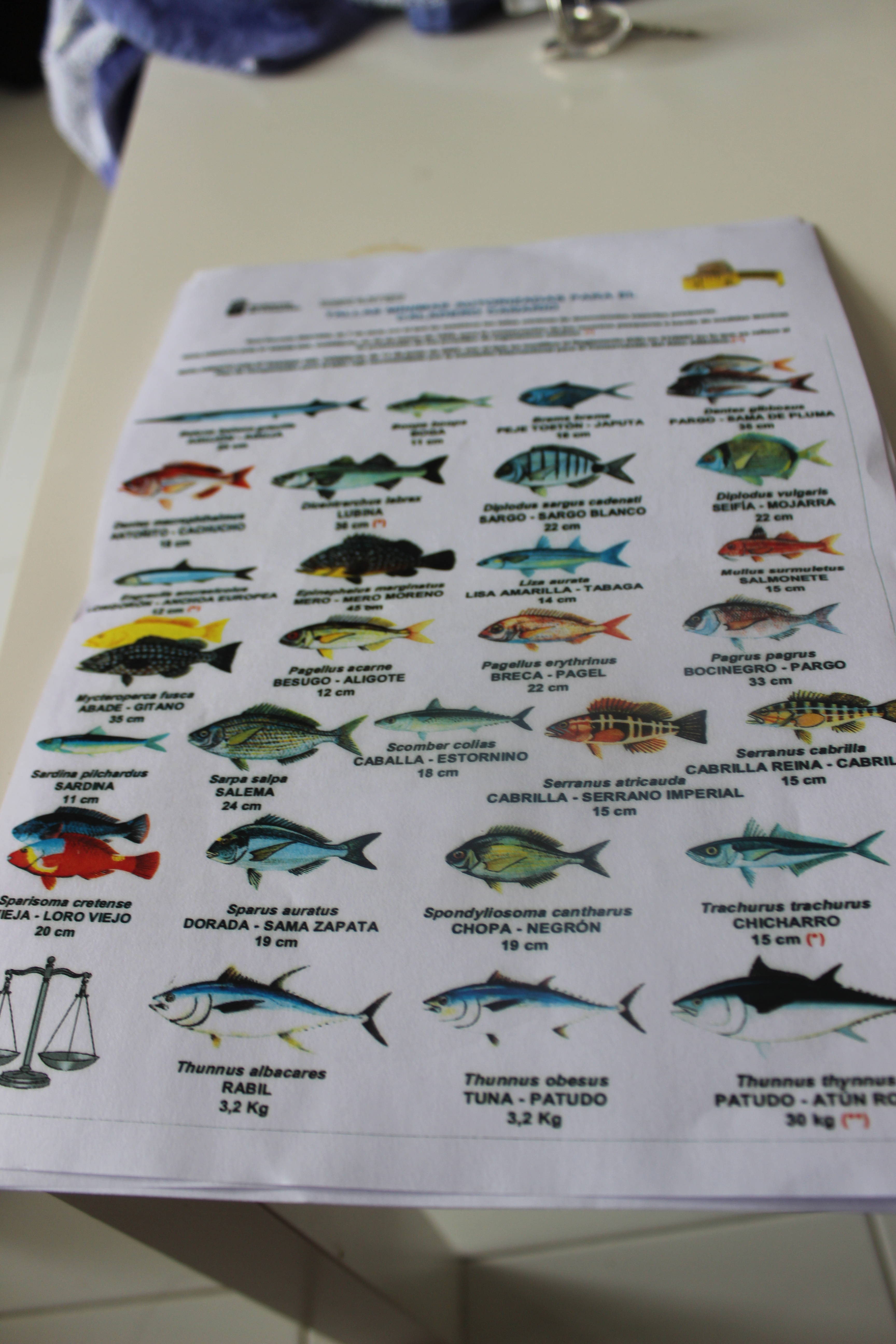 Lanzarote Fish Chart