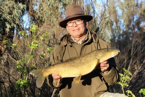 Comizo Barbel