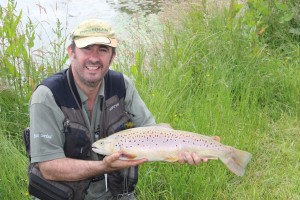 Brown trout at Roxholme fly fishery