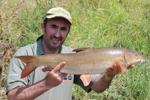 Trent Barbel 