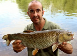 7lb Trent Chub 