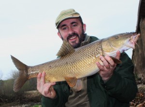 Comizo Barbel