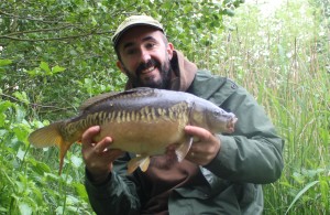 Carp at Alderfen