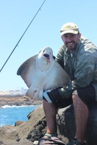 stingray at lanzarote