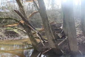 Wreckage of Storm Doris