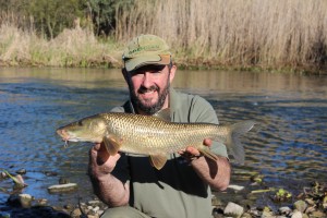 Comizo barbel