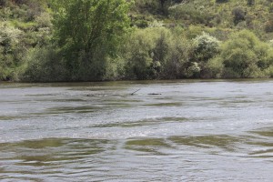 The river at Coria Spain