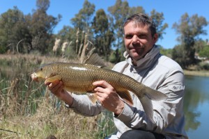 Spanish barbel