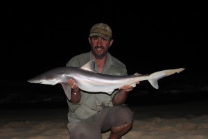 Lee Swords Shark Cape Verde